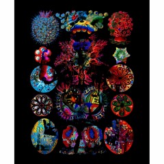 Jus Now feat. Chalmer John - Sweet Lies