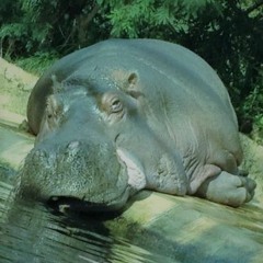 Kingdom Tour- Maverick City x Kirk Franklin x Housefires