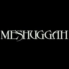 Meshuggah - Concatenation (Instrumental Cover)