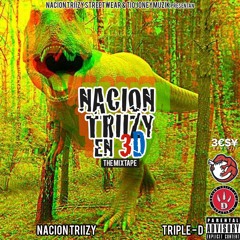 07. Nacion Triizy en 3D - 2 Placé (ft. Rxmex Stunnv)