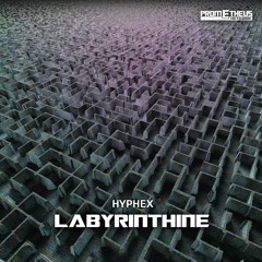 HypheX - Labyrinthine