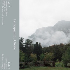 Otoño K7