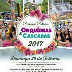 CUÑA PUBLICITARIA CARNAVAL 2017