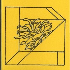 Serpentini At The Nexus