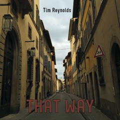 Manfood (Tim Reynolds Solo Acoustic)