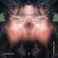 David Benjamin - Brujo (Julian Wassermann Remix)