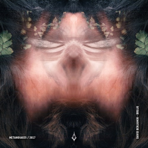 David Benjamin - Brujo (Julian Wassermann Remix)