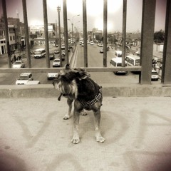 90 GRADOS _ MORMO ( LEGAÑOSO PROD. )