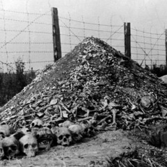 J.D. - Genuine Genocide (Freestyle)