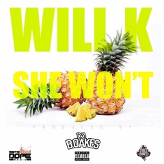 Will K - She Won't Featuring DJ Boakes