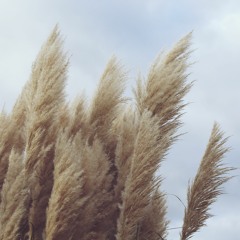 EDM & Hip Hop Beat - Imagery - Yandura