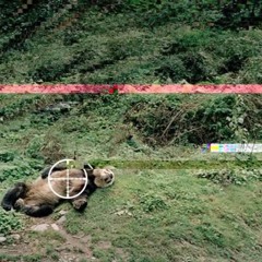 fiend (Prod. Donato)