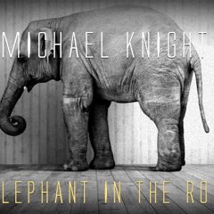 MichaelKnightFLA - Elephant In The Room