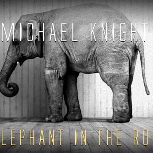 MichaelKnightFLA - Elephant In The Room
