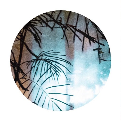 Premiere: Idealist - Flow [Echocord]