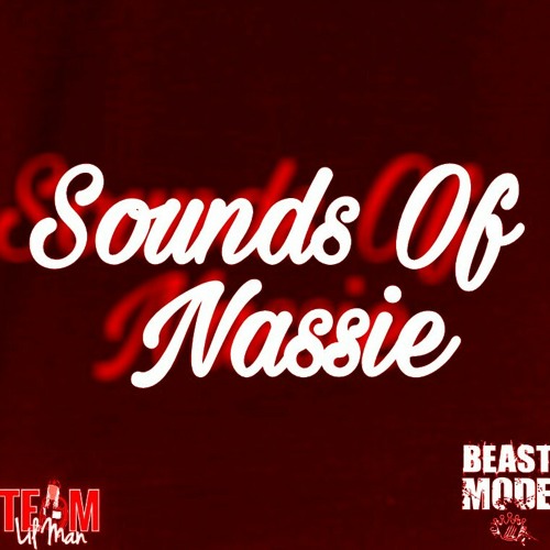 Sounds Of Nassie (NassieRemix)- NassieTheProducer #TLMUSIC