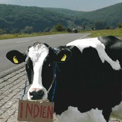 Wish I Never Left Home