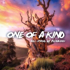 One Of A Kind (Prod. By Penacho)