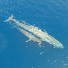 روائع الشيخ عمر القزابري - وَذَا النُّونِ إِذ ذَّهَبَ مُغَاضِبًا