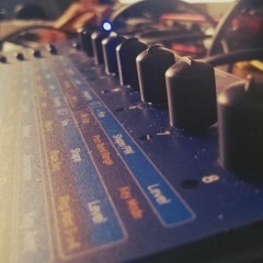 Riconoscere I Maestri (Evolver solo per Gattobus )