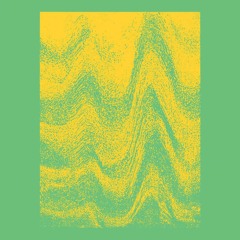 10 Zerox Dreamflesh - Squids Can Fly 4:35 (ES004)