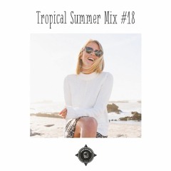 Tropical Summer mix 2017 #18