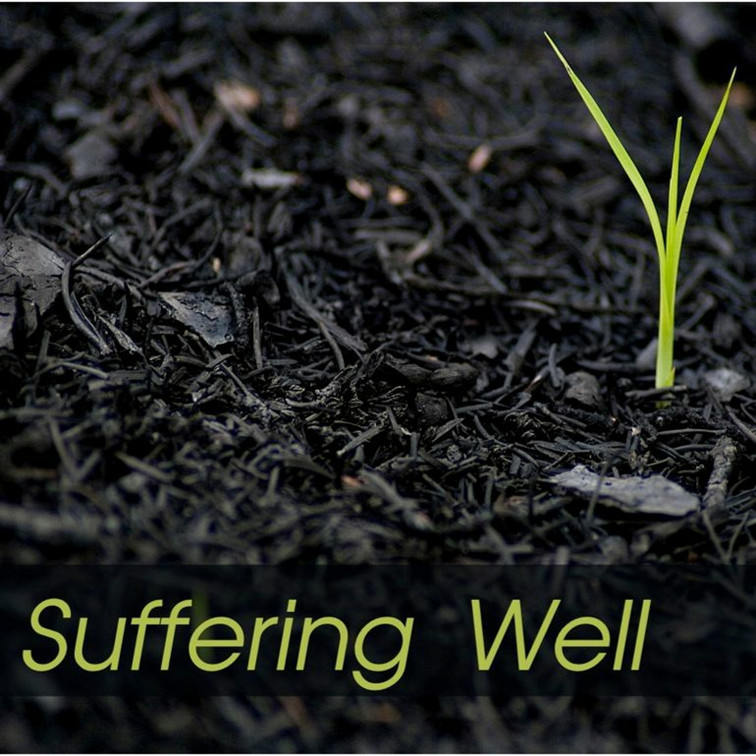 GSL - Week 6 - A Joyful Church in a Suffering World episode artwork