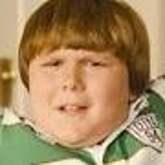 not the main kid but the fatter one from 'diary of a whimpy kid' (carl wheezer part 2)