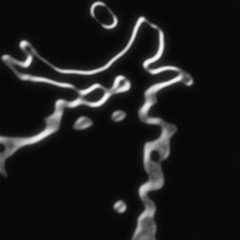 TKR005 SYYMSTRESS ft. Yayoyanoh - Ryde Out