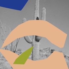 exhibition presentation of Felicia Atkinson, "Spoken Word"