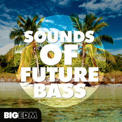 Sounds Of Future Bass [I'm the DJ Mobile App]