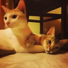 Boney M - Ma Baker (Instrumental)