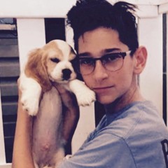 never be like you (seanflo remix)