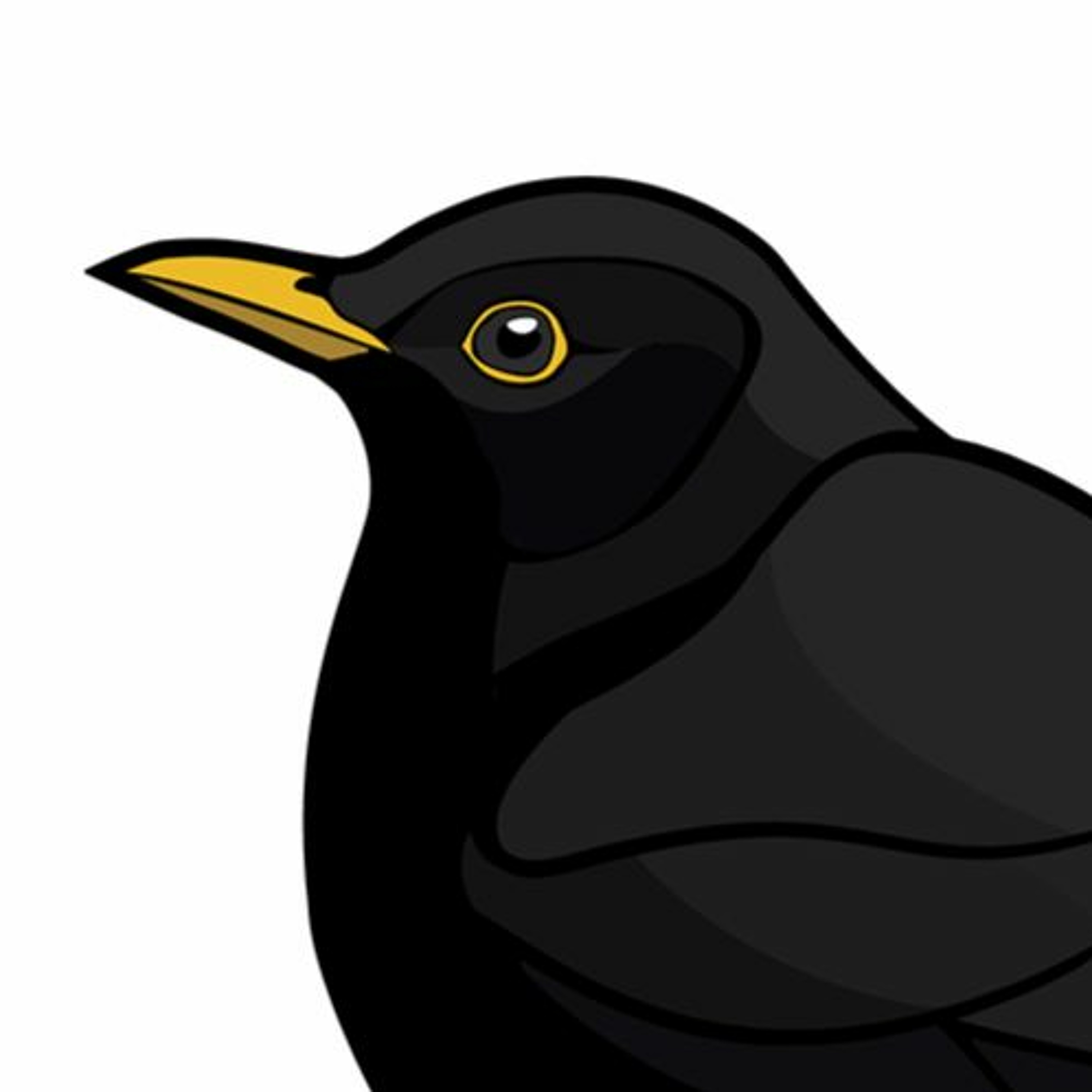 Pippipodden