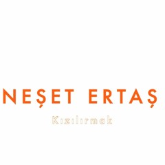 Neşet Ertaş - Telli Turnam