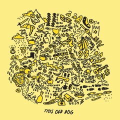 On The Level (Slowed Down)// Mac Demarco