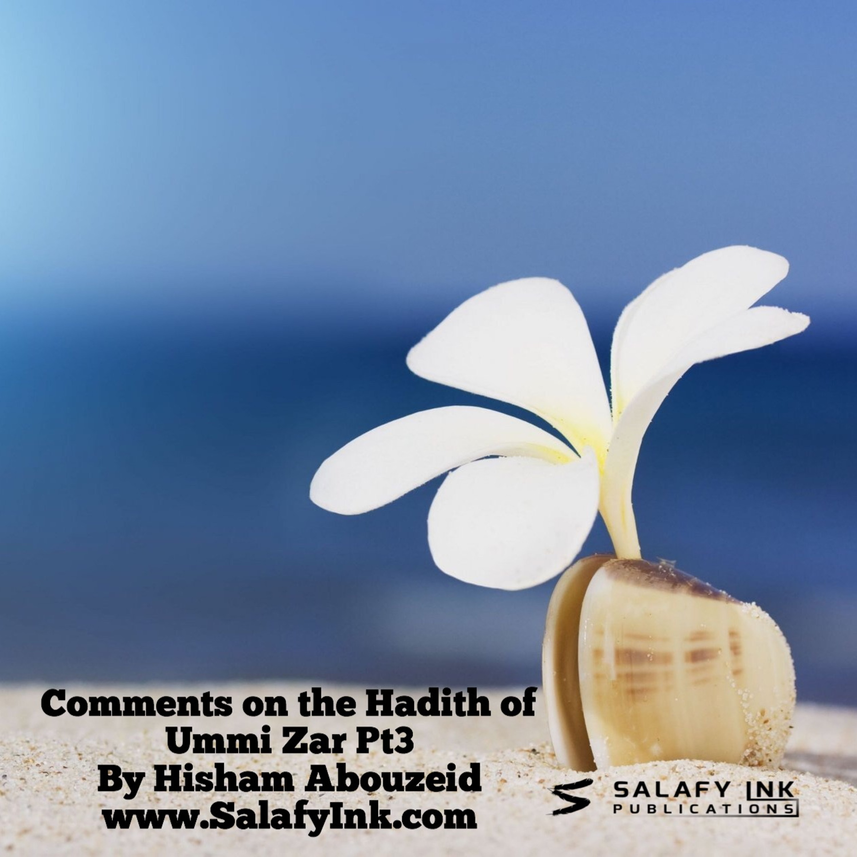 Comments on the Hadith of Ummi Zar Pt3 By Hisham Abouzeid episode artwork