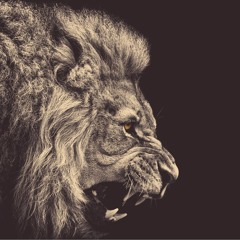 The Lion Sleeps Tonight (Shapeless & Madragora Remix) Vs Residet Minimal Monkey Vini Oliveira MASHUP