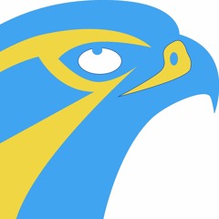 Blue N Gold Ft Dizzy Keyz (GO FALCONS)