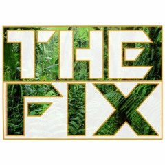 The Fix (instrumental)