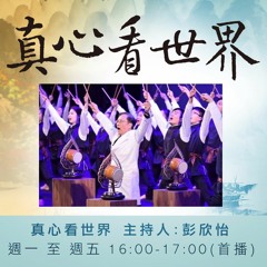 真心看世界20170217志早開示&慈悅師姊談國際大愛 心蓮滿人間音樂祈福會回饋