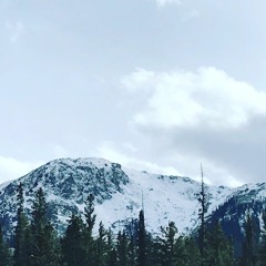 Shitty Beginnings. Lemon - Lime Soda..