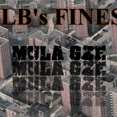 MULA GZE MLBs Finest Flex