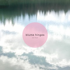 Blume Hinges - "Take Me Down"