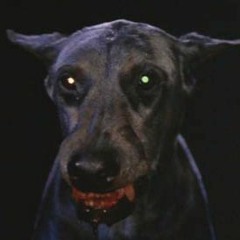 Bark [FREE DL]