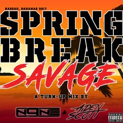 Spring Break Savage: A Turn-Up Mix