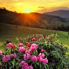 Sol de la Mañana . De Arnaldo Herrera