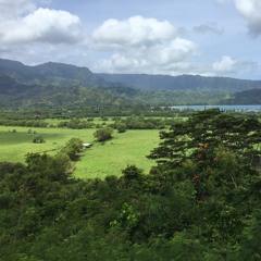 Kelly Blue Book (alternate version)