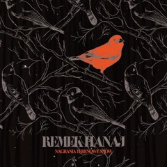 Remek Hanaj | Nagrania terenowe snów -  Do Ciebie / To you