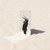 Artwork for Penguin Cafe - Cantorum